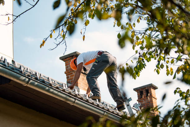 Best Roof Maintenance Services  in Warwick, RI